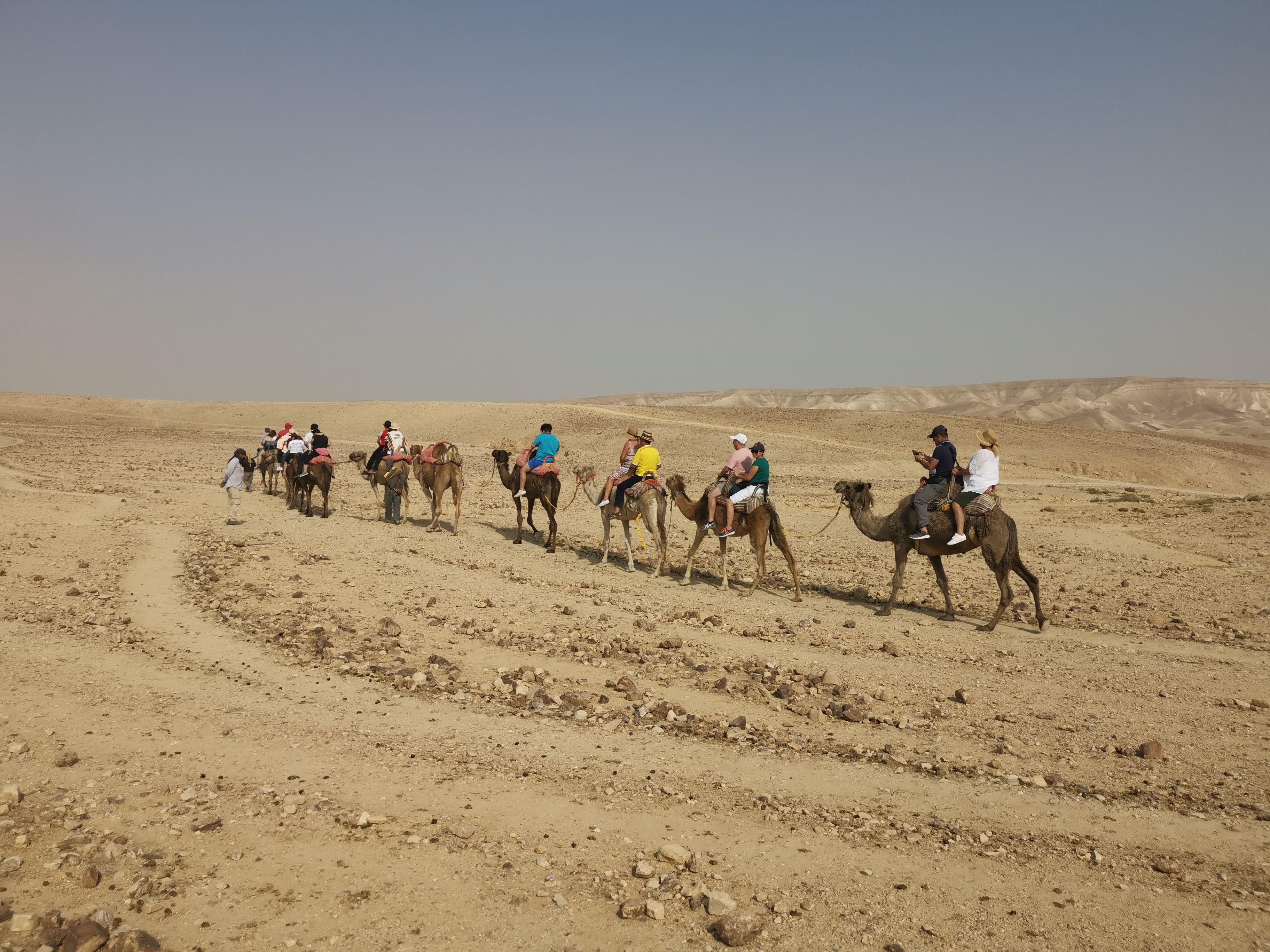 Picture of me touring a group of tourists